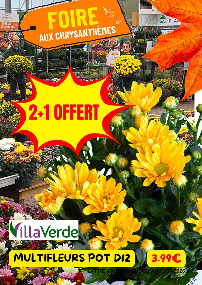 villaverde-2510261