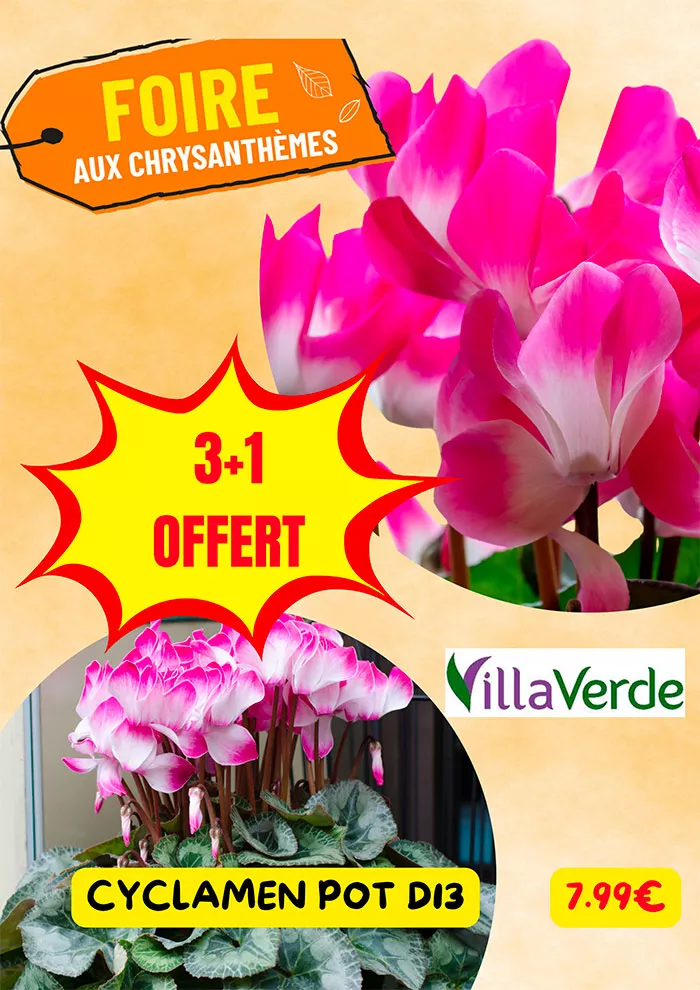 villaverde-2510269